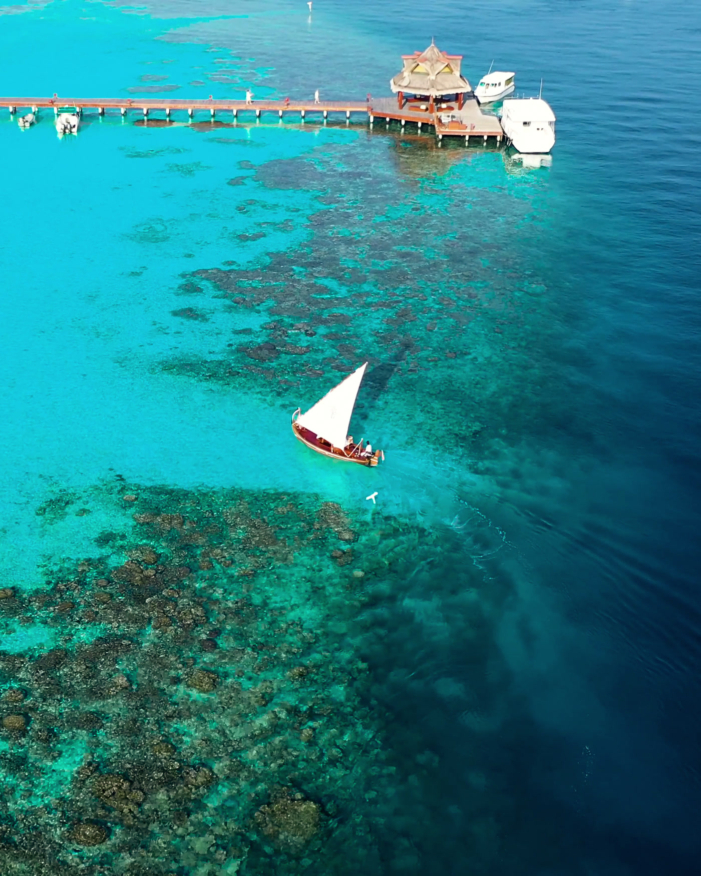 A traditional dhoni sailing over a reef beside a long jetty